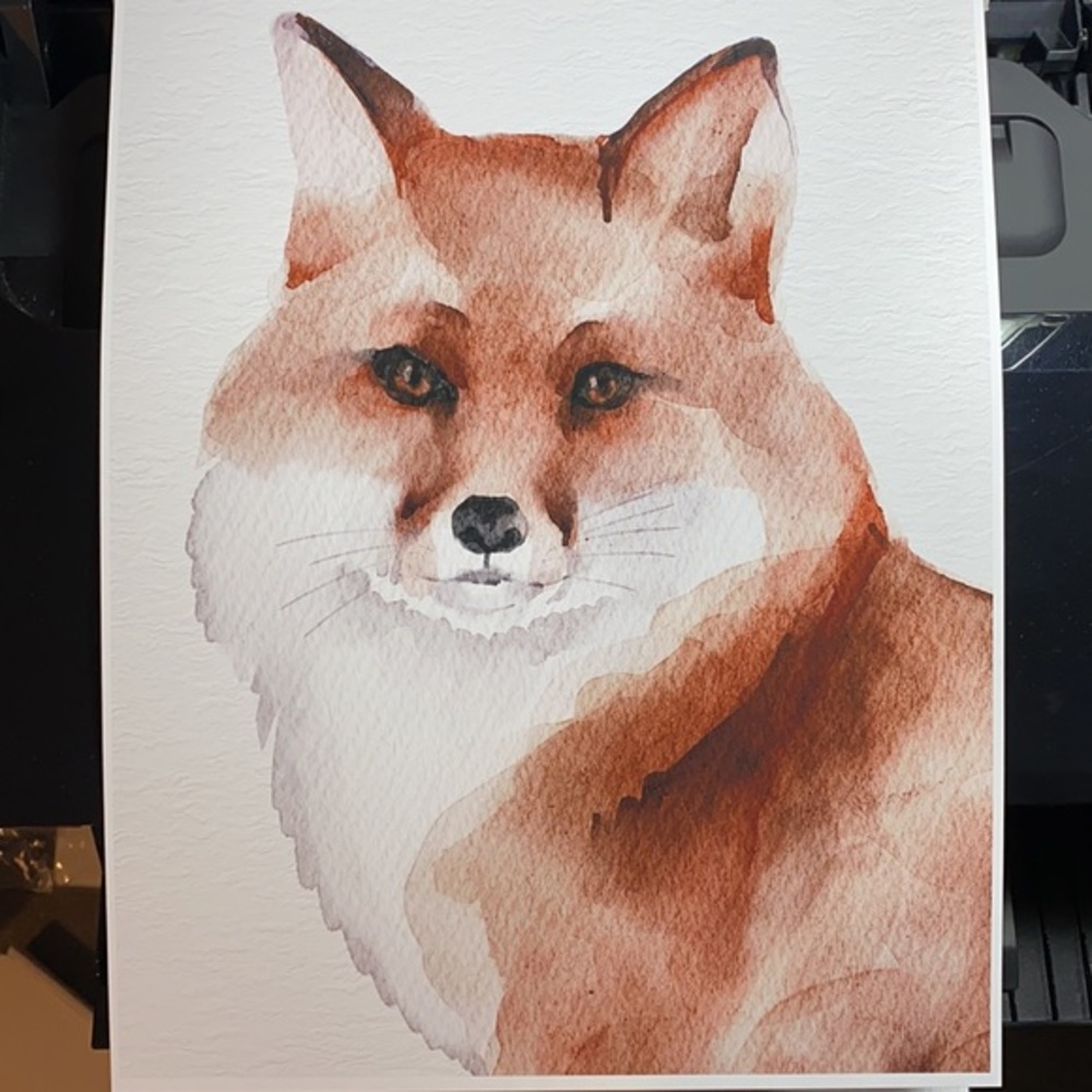 Watercolor Fox Portrait Wall Art Print Poster Unframed - Picture 15 of 15